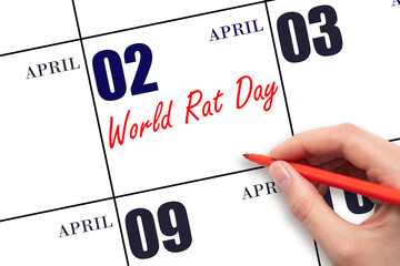 April 2. Hand writing text World Rat Day on calendar date. Save the date.