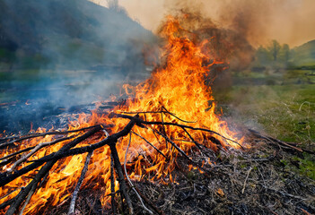 Forest ablaze with flames, danger at night, smoke billows, grass scorched, nature engulfed in...