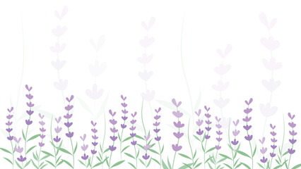 Abstract Lavender flower background Vector design floral border frame