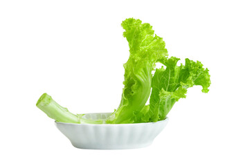 Lettuce leaf with bowl isolated,Green leaves pattern ,Salad ingredient