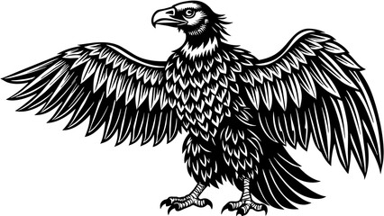 condor  and svg file