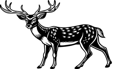 deer vector  illustration