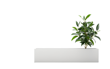 Contemporary Planter Basket Isolated on Transparent Background