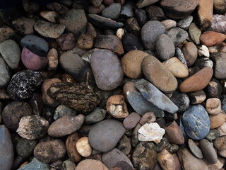 abstract Textured background with round pebble stones. Vacation holiday recreation on beach concept. High quality photo. Fragment with a texture of rock.
