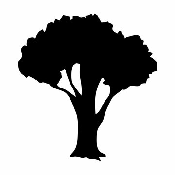 illustration or icon of a black tree on a white background