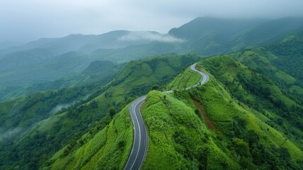 road on green rainforest with rain season,drone view. generative ai