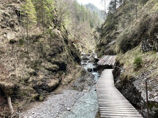 Frühlingswanderung Tirol Griesbachklamm