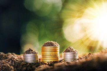 Coins placed on the ground, Growing Money - Plant On Coins - Finance And Investment Concept....