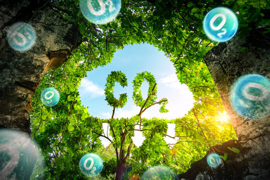 Concept depicting the issue of carbon dioxide emissions and its impact on nature in the form shape of a co2 symbol located in a lush forest. Reduce CO2 emission concept. oxygen O2  molecules.