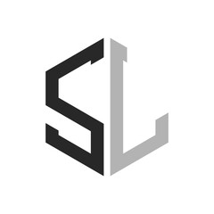Modern Unique Hexagon Letter SL Logo Design Template. Elegant initial SL Letter Logo Concept