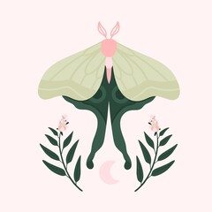 Green moth butterfly illustration card