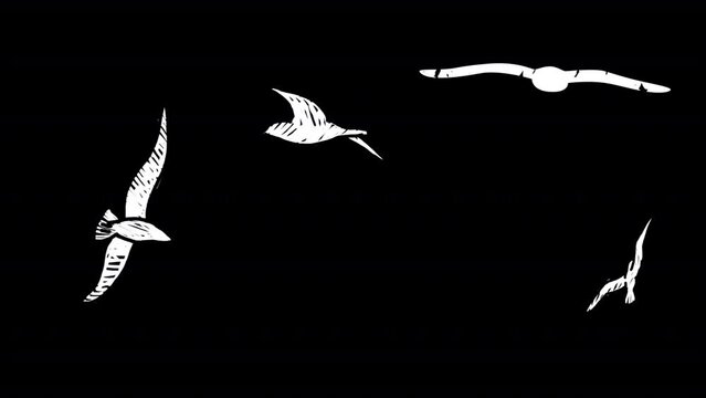 2D animation of seagull birds flying on a transparent background. Scribble doodle hand drawn style. Alpha channel.