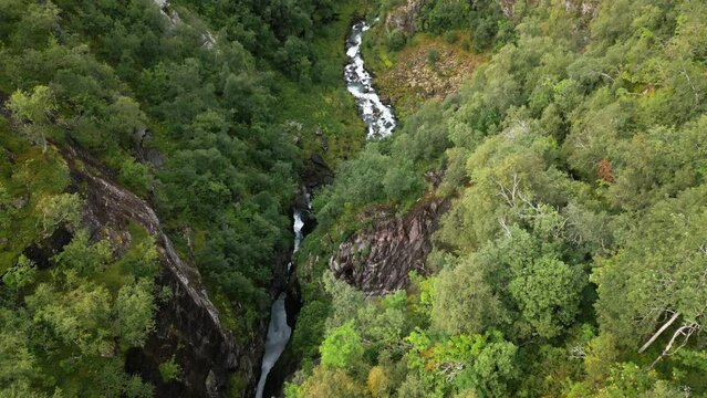 river flows through a rocky crevice in a green forest, norway, europe, drone