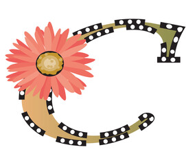 spring flower with sun