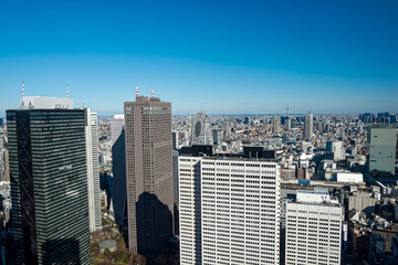 Aerial view of skyline of Japanese City of Tokyo seen from tower of Tokyo Metropolitan Government Building with blue sky background. Photo taken January 27th, 2024, Tokyo, Japan.