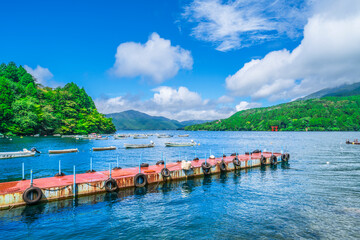 夏の芦ノ湖　湖畔の風景【神奈川県・箱根町】　
Scenery on the shores of Lake Ashinoko in summer - Kanagawa, Japan