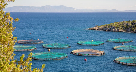 Fish farm in Greece. Aquaculture fish industry, circle cage, fishing net in blue ripple sea water.