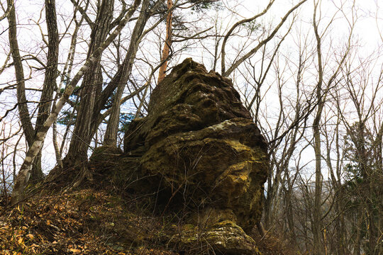 山奥の登山道にある大きな烏帽子岩