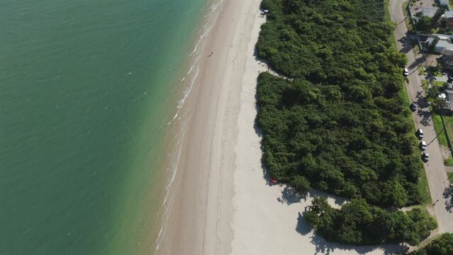 Description: A bird's-eye view captures the beauty of Daniela Beach with its stunning sandy shores and calm green waters.