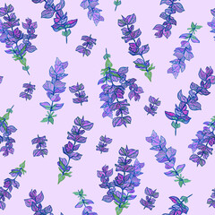 Salvia garden sage floral seamless pattern on purple background