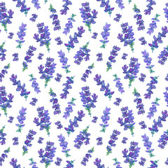 Ditsy Salvia floral seamless print on white background