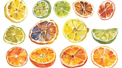 Foto op Canvas Fruit chips sundried orange dry slices of lemon orange  © Aliha