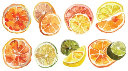 Foto op Plexiglas Fruit chips sundried orange dry slices of lemon orange  © Aliha