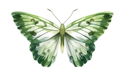 Green butterfly on white background Flat vector isolated