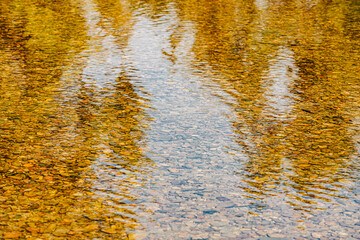 Trees reflected in river water with ripples