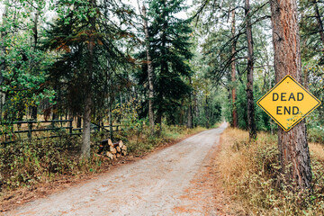 Dirt road through forest with dead end sign