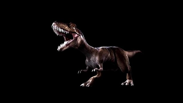 Tyrannosaurus T-Rex dinosaur walking