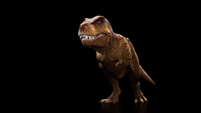 Tyrannosaurus T-Rex dinosaur walking