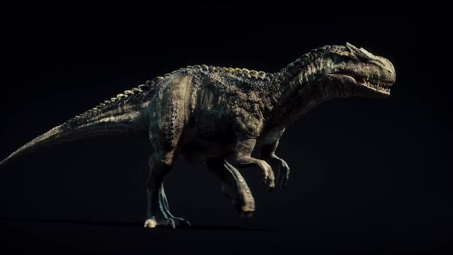 Tyrannosaurus T-Rex Runcycle  3D Rendering Animation 