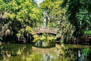 Stone bridge over pond with green foliage in City Park, New Orleans