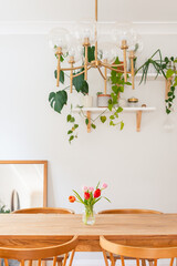 symmetrical view of jar of spring tulips in dining room - obrazy, fototapety, plakaty