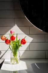 moody tulips in the sunlight at home against white tile