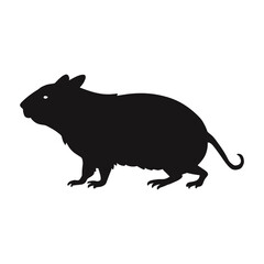 Obraz premium Cavy Silhouette
