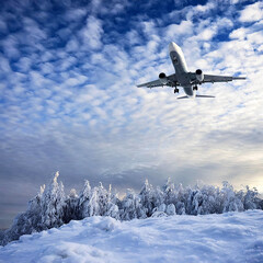 Fototapeta na wymiar A plane that flies in the winter sky