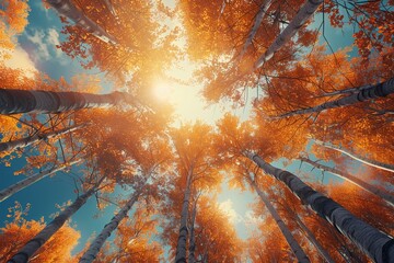 Gazing up, photorealistic autumn trees stretch with a soft sun glare overhead ,3DCG,high resulution
