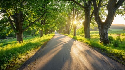 Obraz premium A quiet countryside road lined with trees with sunlight streaming through the branches raw AI generated illustration
