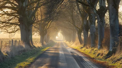 Foto op Canvas A quiet countryside road lined with trees with sunlight streaming through the branches AI generated illustration © Olive Studio