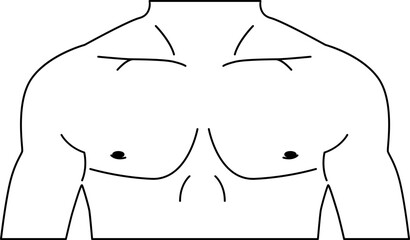 Chest body human