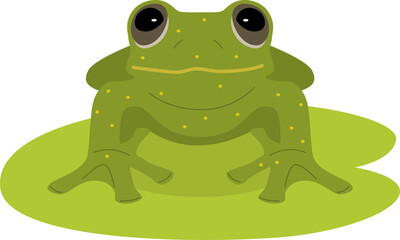 Frog Sitting Cartoon Illustration