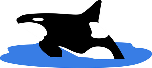 Orca whale