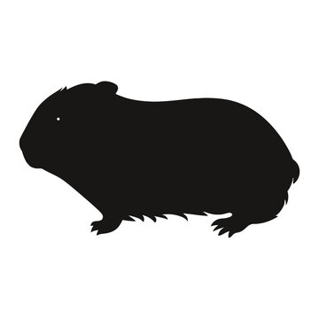 recommend clip art: Guinea Pig Silhouette