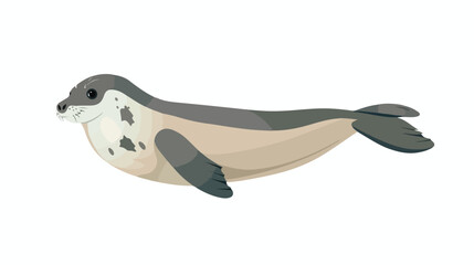 Cartoon seal swimming on white background flat vector - obrazy, fototapety, plakaty