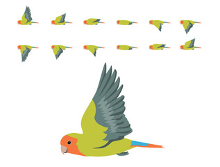 Bird Parrot Lovebird Rosy-faced Flying Animation Sequence Cartoon Vector