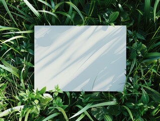 A white piece of paper is placed in the middle of a field of green grass