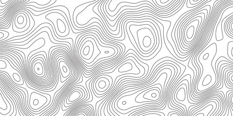 Fototapeta premium Black and white abstract background vector, Abstract topographic contours map background. Topographic map and landscape terrain texture grid. Salmon fillet texture, fish pattern.