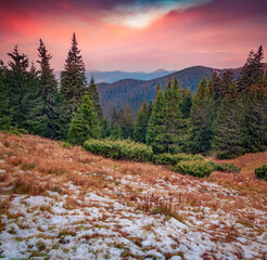 Incredible autumn sunrise in Carpathian mountains with fresh snow. Colf morning scene of fir tree woodland. Beauty of nature concept background.